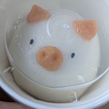 Cafe Aloe - Piggy going home - Cafes Near Me - Bellevue, Washington