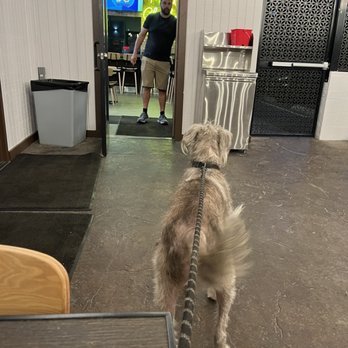 Bruxie - Boomer patiently awaiting service - Chicken Shop Near Me - Long Beach, California