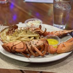 1.5 lb lobster