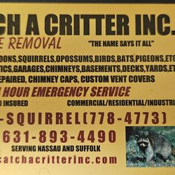 Catch a Critter - Business Card
