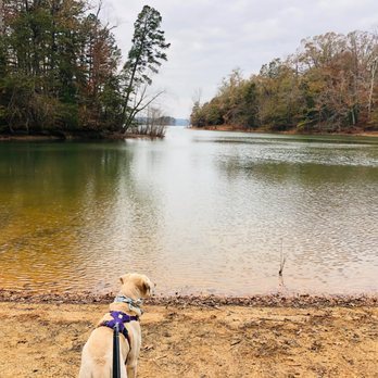 Sadlers Creek State Park - Parks Near Me - Anderson, South Carolina Sadlers Creek State Park - Parks Near Me - Anderson, South Carolina