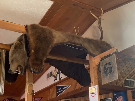 Cougar Bar & Grill by null