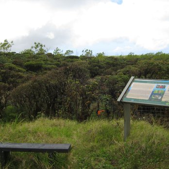 Mt Ka'ala Trail - At the summit of Mount Ka'ala. - Hiking Near Me - Waianae, Hawaii