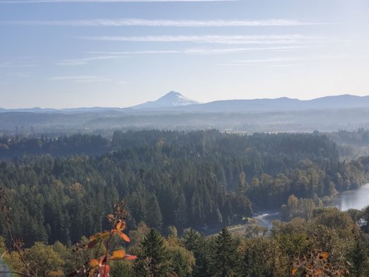 Bent Shovel Brewing - Beer Garden by null