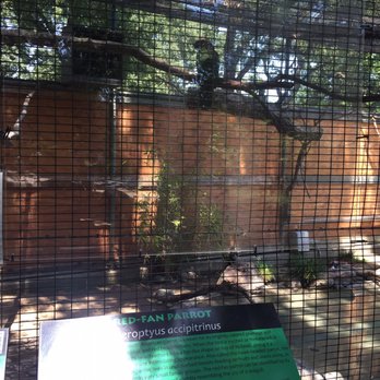 Micke Grove Zoo - Zoos Near Me - Lodi, California Micke Grove Zoo - Zoos Near Me - Lodi, California