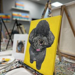 Paint 'n Pour - Paint your Pet