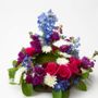 Design n Bloom