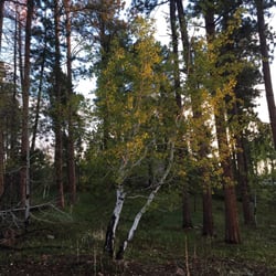 Bear Den Cabin