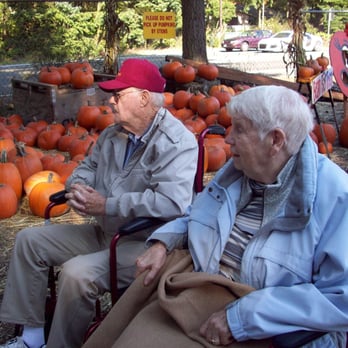 Kensington Gardens - Pumpkin Patch! - Retirement Homes Near Me - Gig Harbor, Washington Kensington Gardens - Pumpkin Patch! - Retirement Homes Near Me - Gig Harbor, Washington