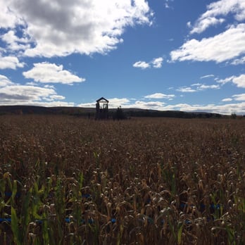 Barton Orchards - Corn maze! - Farmers Market Near Me - Poughquag, New York Barton Orchards - Corn maze! - Farmers Market Near Me - Poughquag, New York