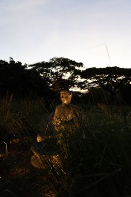 Lumeria Maui Retreat Center by null