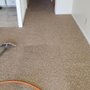 Photo of Allo Boris Carpet Cleaning