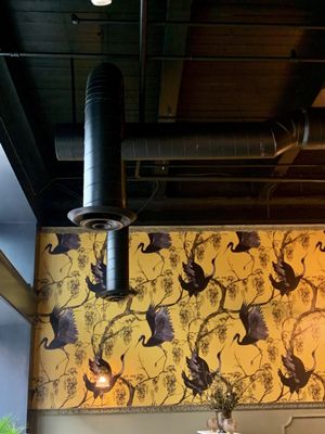 The Dandy of King Street Crossing by null