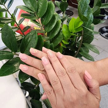 SERENE NAILS - Nail Salons Near Me - Honolulu, Hawaii