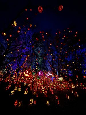 Minnesota Zoo by null