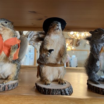 Wild West Design - Furniture Stores Near Me - Idaho Falls, Idaho Wild West Design - Furniture Stores Near Me - Idaho Falls, Idaho