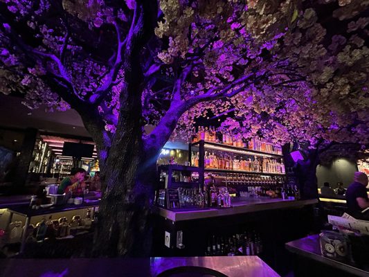 Cloak and Petal Little Italy by null