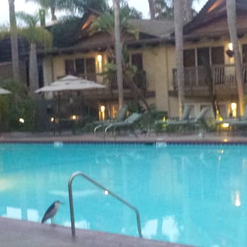Humphreys Half Moon Inn - Tropical birds at the pool! "Pool Security " lol - San Diego, CA