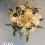Photo of Stems
