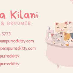 The Pampurred Kitty Grooming Salon