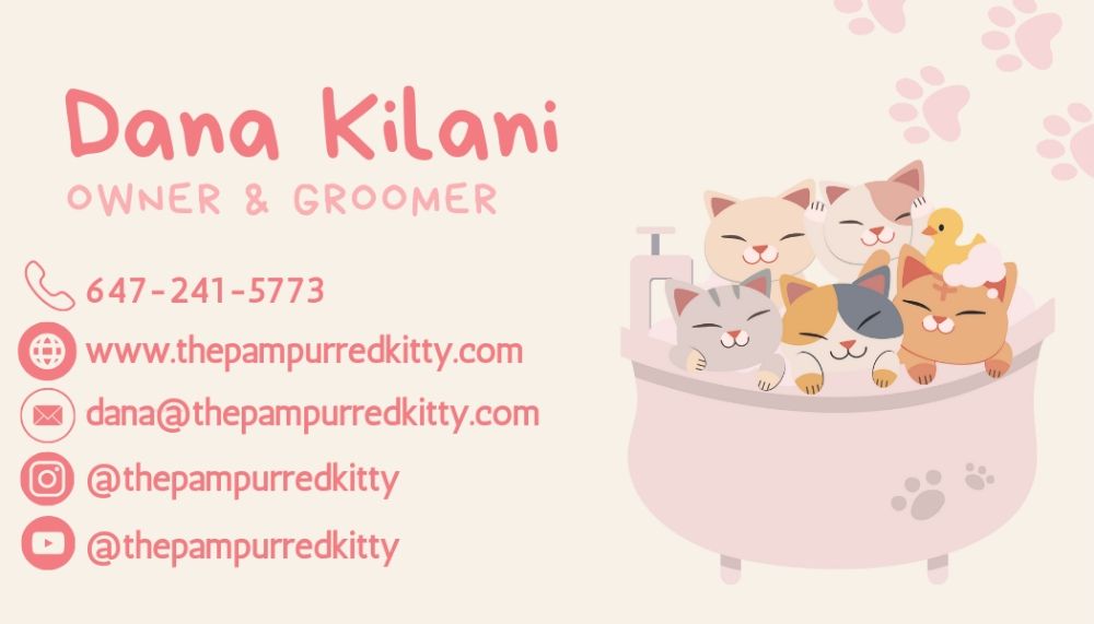 THE PAMPURRED KITTY GROOMING SALON Updated August 2024 Request an