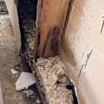 AmeriSpec Inspection Services - Sheetrock removed by washer and dryer since smell was so bad - Home Inspectors Near Me