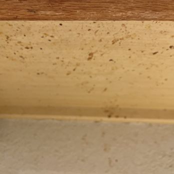 Total Home Detail - How? - Home Cleaning Near Me Total Home Detail - How? - Home Cleaning Near Me