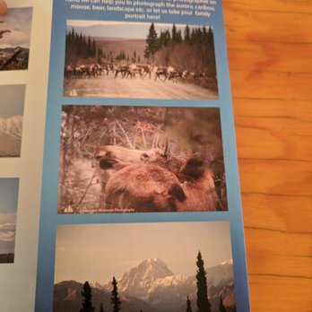 Clearwater Mountain Lodge - Bed & Breakfast Near Me - Cantwell, Alaska