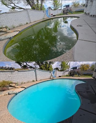 Island Pool Cleaning on Yelp