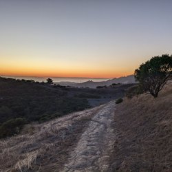Windy Hill Open Space Preserve - View close to sunset going back to the parking lot on anniversary