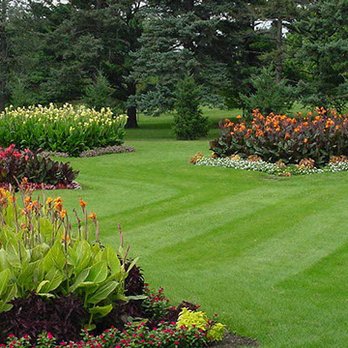 DG Lawn Care Services - a garden with a variety of flowers - Landscaping Near Me - Cohoes, New York DG Lawn Care Services - a garden with a variety of flowers - Landscaping Near Me - Cohoes, New York