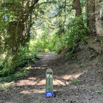 Spring Lake Open Space Hiking Trails - Spring Lake Open Space - bigger trail entrance near the sign - Hiking Near Me - Lincoln City, Oregon Spring Lake Open Space Hiking Trails - Spring Lake Open Space - bigger trail entrance near the sign - Hiking Near Me - Lincoln City, Oregon
