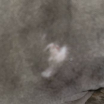 TAMI&rsquo;S TENDER TOUCH - Updated January 2025 - 62 Photos &amp; 94 