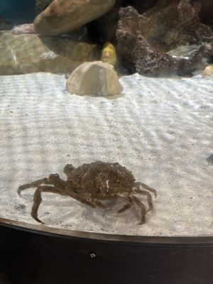 Central Coast Aquarium by null