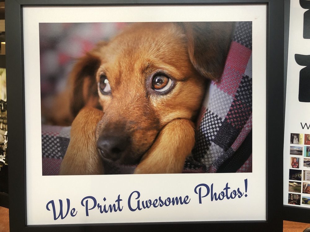 Art Supplies FRANTIC FRAMERS 16 Photos & 30 Reviews 94 Franklin