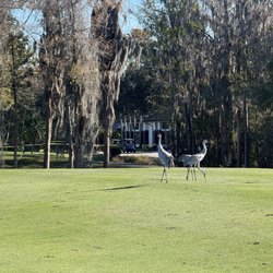 Stoneybrook Golf Club