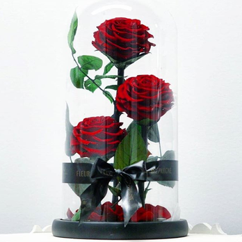 Fleurs D'epargne - Eternity 3-in1 Roses in Enchanted Glass Dome - Florists Near Me - Burnaby, British Columbia
