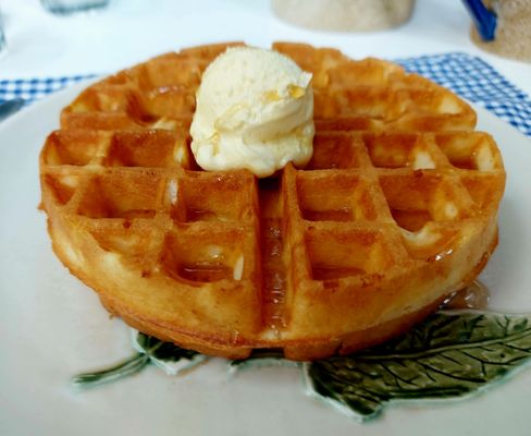 Rustic Mornings By Isabelo Garden by null