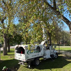 Turnbull's Tree Service