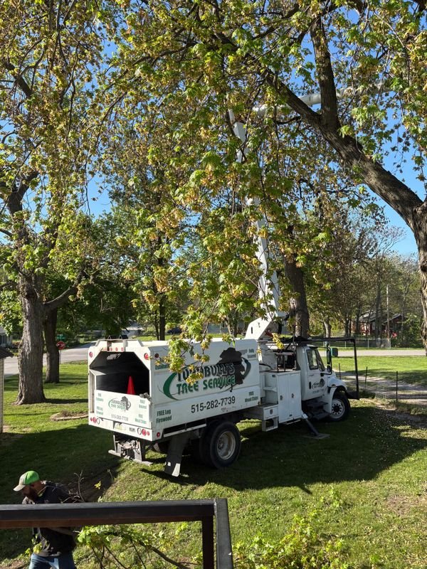 Turnbull's Tree Service - tree service in Norwalk, IA
