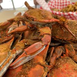 Bay Crawlers Crab Shack