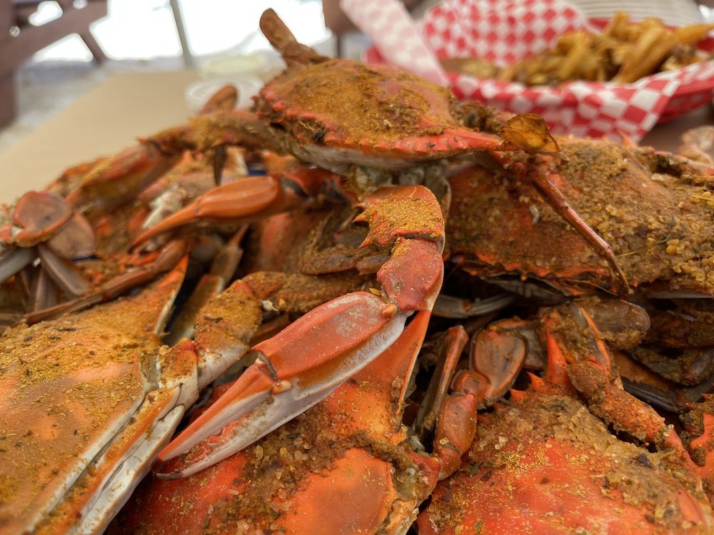 Bay Crawlers Crab Shack Logo