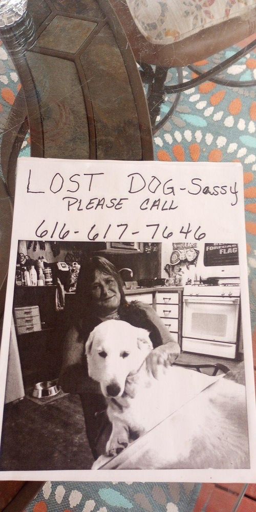 ANIMAL HOSPITAL OF NEW PORT RICHEY - Updated September 2025 - 15