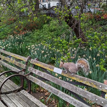 Riverside Park - Parks Near Me