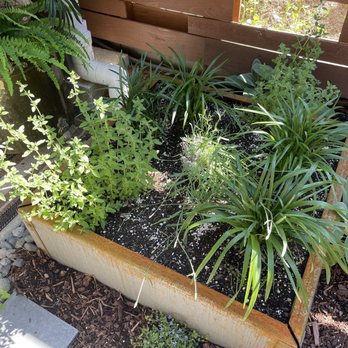 Nature Perfect Landscape and Design - You pay a landscape designer for their broad knowledge of plant varieties. Well so much for that thought. - Landscaping Near Me - Olympia, Washington