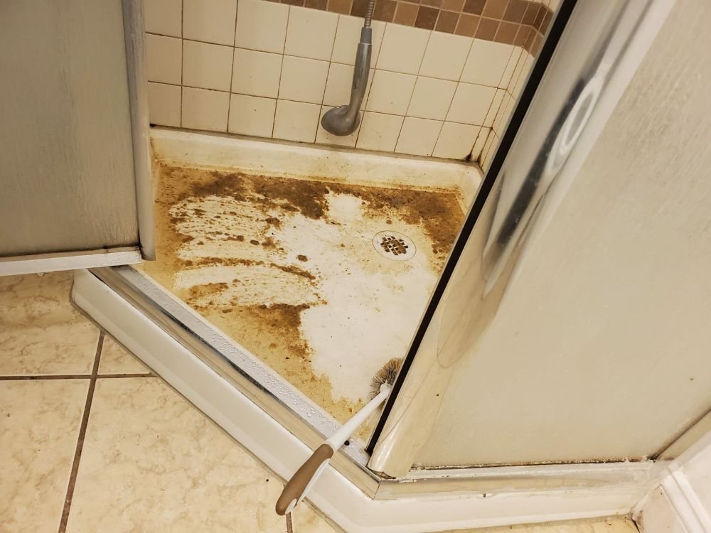 GLOBAL CARPET CLEANING & WATER DAMAGE RESTORATION 44 Photos Carpet