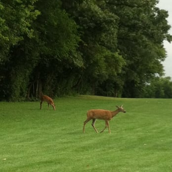 Stonehenge Golf Club - Golf Near Me - Barrington, Illinois