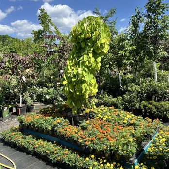Greenstreet Gardens - Nurseries & Gardening Near Me - Alexandria, Virginia