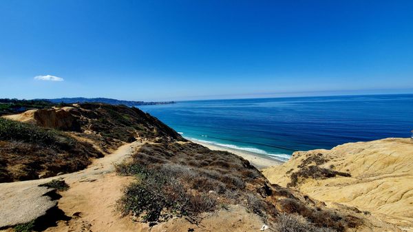 Black's Beach by null