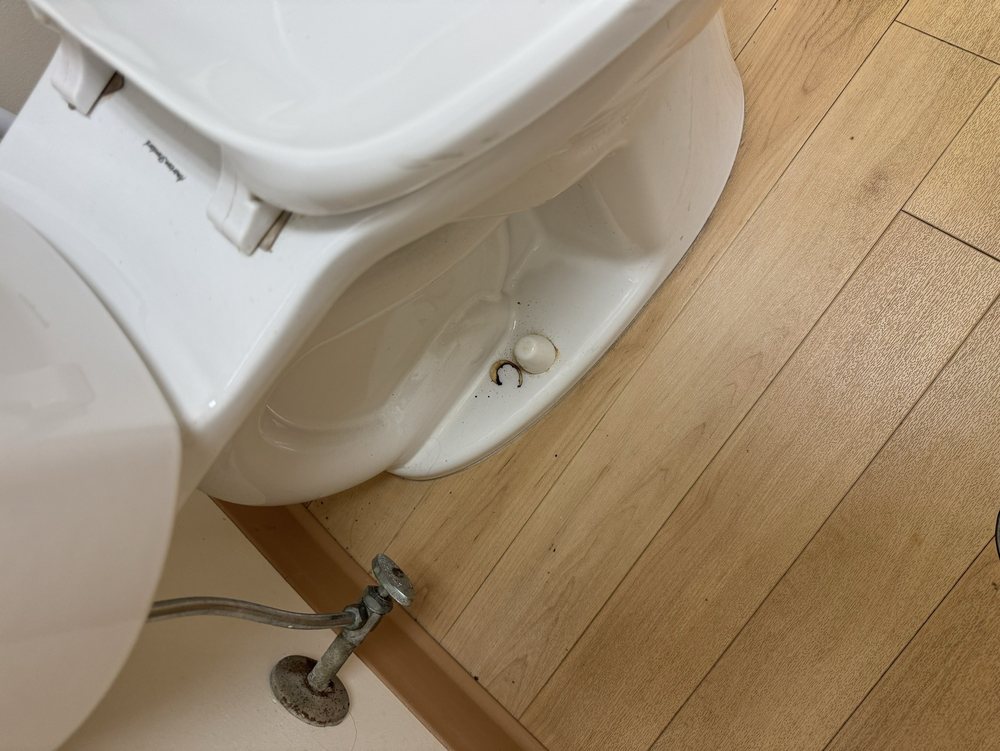 Total Access Urgent Care - patient advocate in Saint Louis, MO